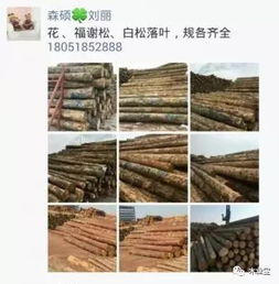 履約思源，不忘初心——2017年4月2日精品木材銷售信息發(fā)布