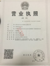 審計專員